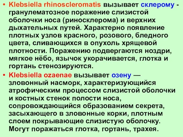 Klebsiella rhinoscleromatis вызывает склерому - гранулематозное поражение слизистой оболочки носа (риносклерома) и