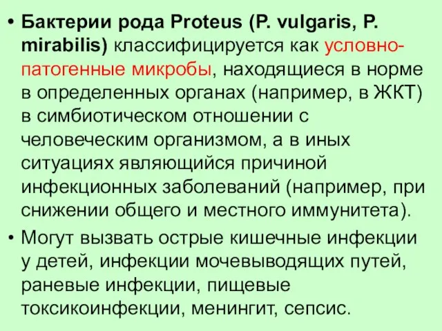 Бактерии рода Proteus (P. vulgaris, P. mirabilis) классифицируется как условно-патогенные микробы, находящиеся