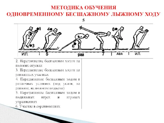 МЕТОДИКА ОБУЧЕНИЯ ОДНОВРЕМЕННОМУ БЕСШАЖНОМУ ЛЫЖНОМУ ХОДУ 5