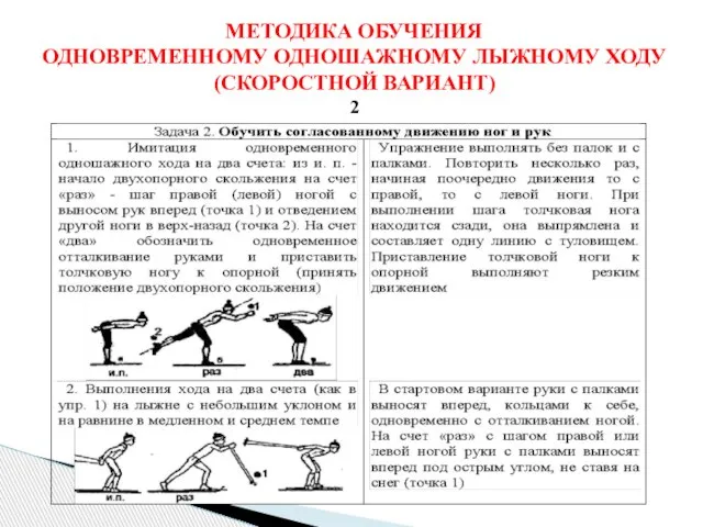 МЕТОДИКА ОБУЧЕНИЯ ОДНОВРЕМЕННОМУ ОДНОШАЖНОМУ ЛЫЖНОМУ ХОДУ (СКОРОСТНОЙ ВАРИАНТ) 2