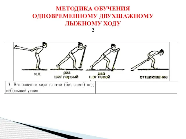 МЕТОДИКА ОБУЧЕНИЯ ОДНОВРЕМЕННОМУ ДВУХШАЖНОМУ ЛЫЖНОМУ ХОДУ 2