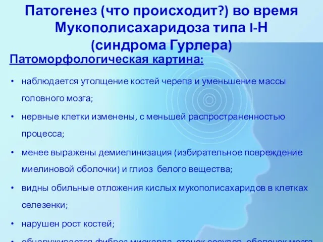 Патогенез (что происходит?) во время Мукополисахаридоза типа I-Н (синдрома Гурлера) Патоморфологическая картина: