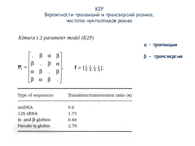 K2P Вероятности транзиций и трансверсий разные, частоты нуклеотидов равны α – транзиция β - трансверсия