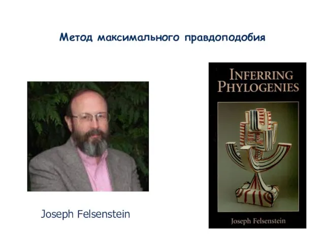 Метод максимального правдоподобия Joseph Felsenstein