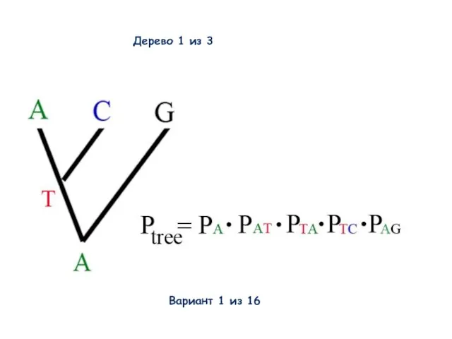 Дерево 1 из 3 Вариант 1 из 16