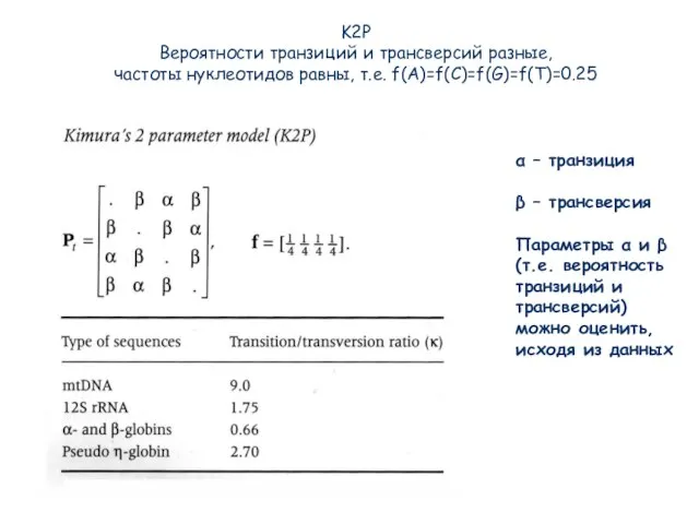 K2P Вероятности транзиций и трансверсий разные, частоты нуклеотидов равны, т.е. f(A)=f(C)=f(G)=f(T)=0.25 α
