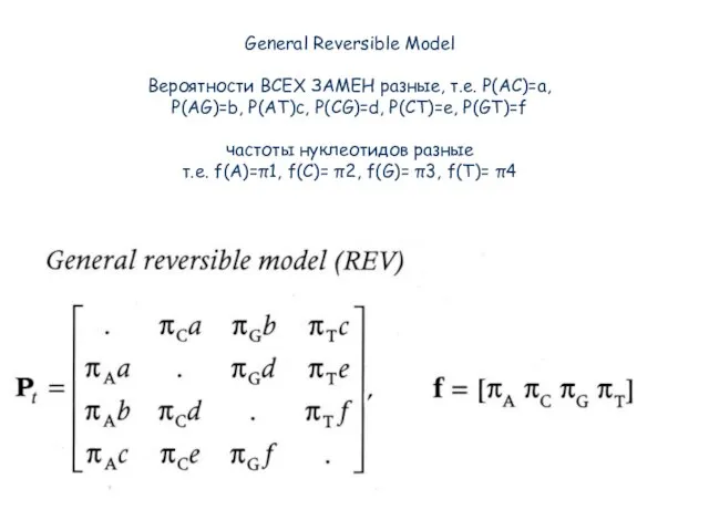 General Reversible Model Вероятности ВСЕХ ЗАМЕН разные, т.е. P(AC)=a, P(AG)=b, P(AT)c, P(CG)=d,
