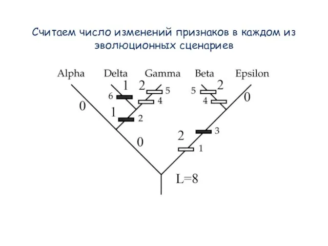 Считаем число изменений признаков в каждом из эволюционных сценариев