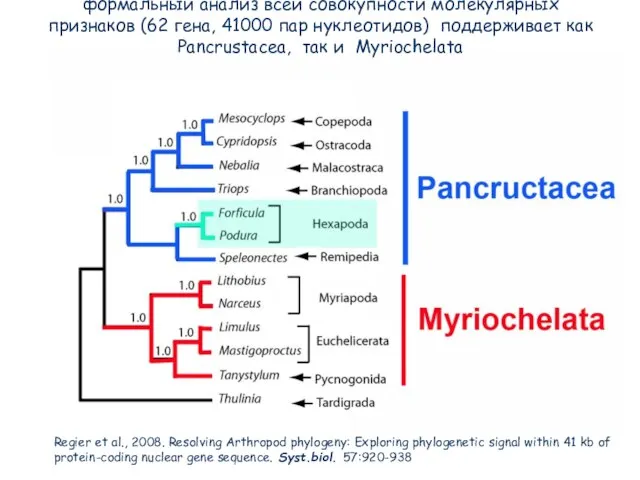 Regier et al., 2008. Resolving Arthropod phylogeny: Exploring phylogenetic signal within 41