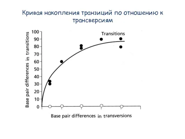 Кривая накопления транзиций по отношению к трансверсиям