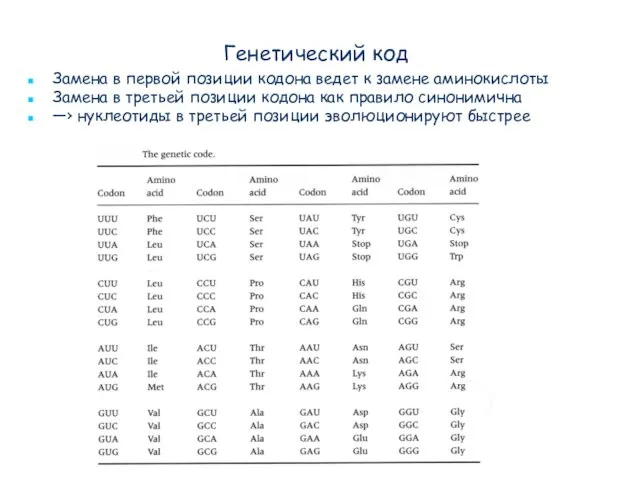 Генетический код Замена в первой позиции кодона ведет к замене аминокислоты Замена