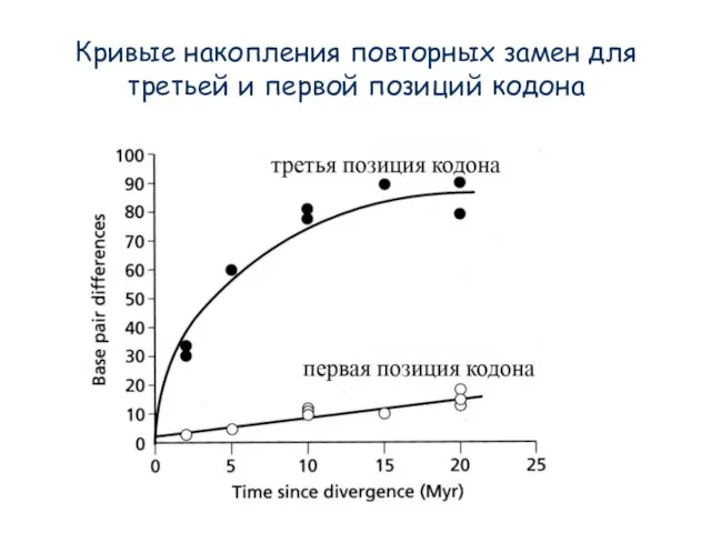 Кривые накопления повторных замен для третьей и первой позиций кодона