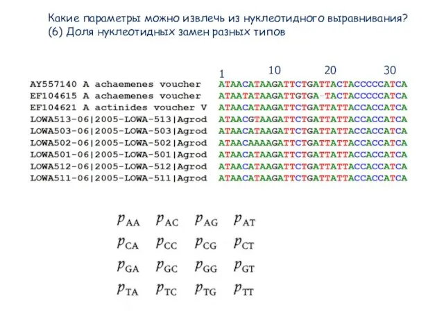 Какие параметры можно извлечь из нуклеотидного выравнивания? (6) Доля нуклеотидных замен разных