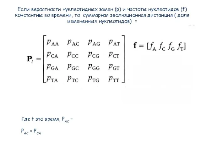 Если вероятности нуклеотидных замен (p) и частоты нуклеотидов (f) константны во времени,