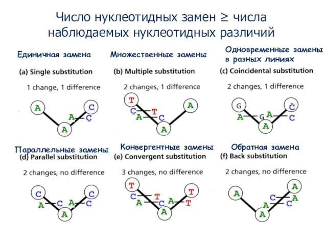 Единичная замена Множественные замены Параллельные замены Конвергентные замены Обратная замена Одновременные замены