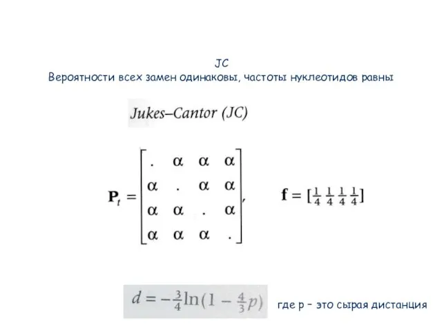 JC Вероятности всех замен одинаковы, частоты нуклеотидов равны D= D = -(3/4)ln(1-4/3
