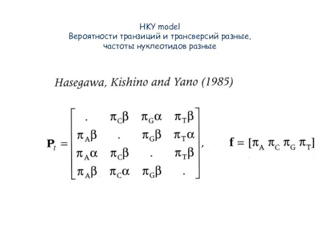 HKY model Вероятности транзиций и трансверсий разные, частоты нуклеотидов разные