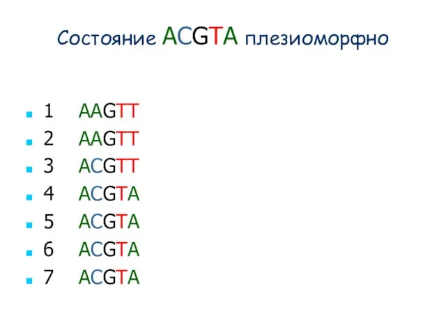 Состояние ACGTA плезиоморфно 1 AAGTT 2 AAGTT 3 ACGTT 4 ACGTA 5