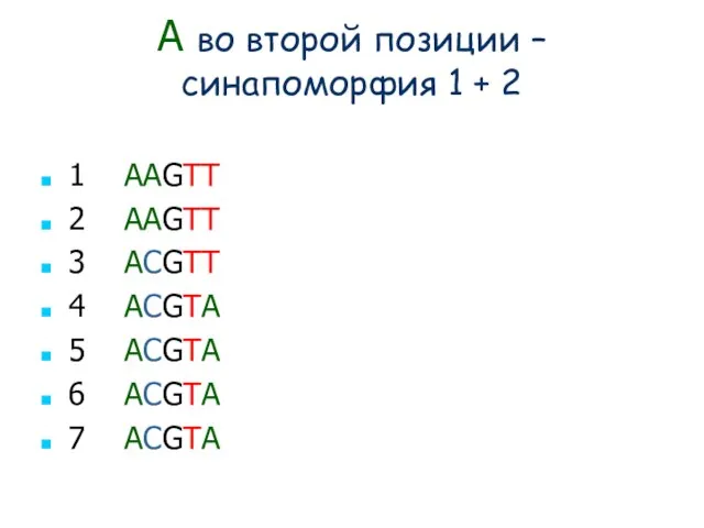 A во второй позиции – синапоморфия 1 + 2 1 AAGTT 2