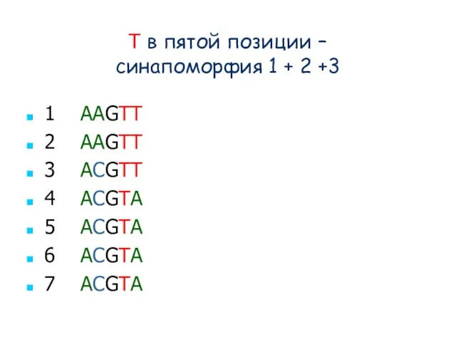 T в пятой позиции – синапоморфия 1 + 2 +3 1 AAGTT