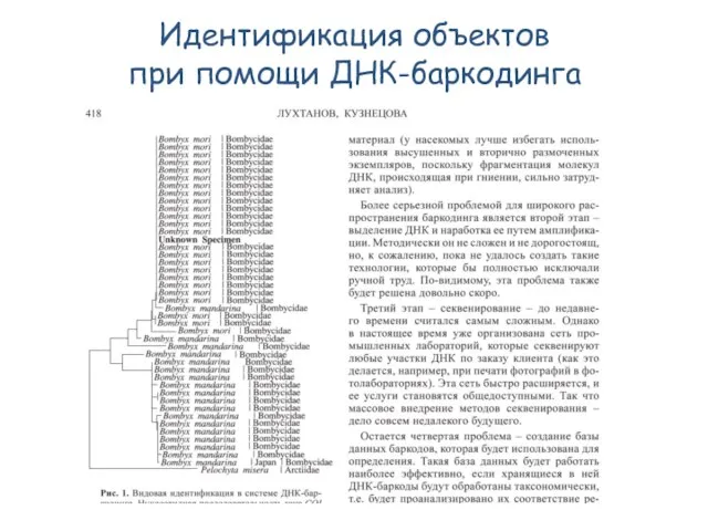 Идентификация объектов при помощи ДНК-баркодинга