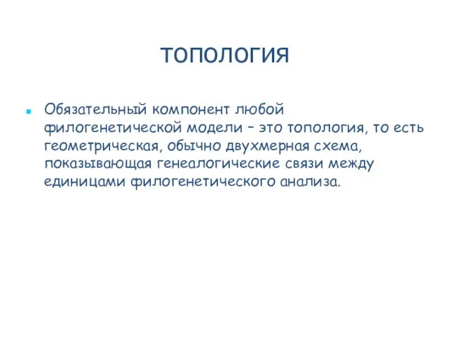 топология Обязательный компонент любой филогенетической модели – это топология, то есть геометрическая,