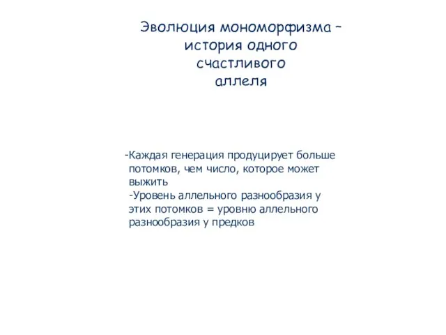 Эволюция мономорфизма – история одного счастливого аллеля Каждая генерация продуцирует больше потомков,