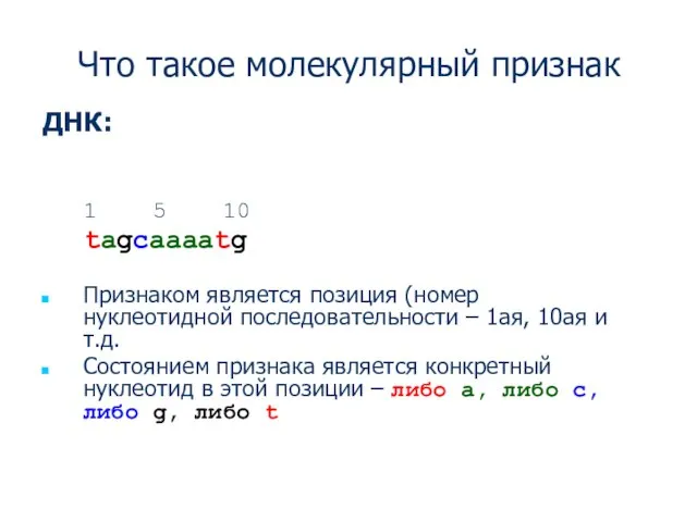 Что такое молекулярный признак ДНК: 1 5 10 tagcaaaatg Признаком является позиция