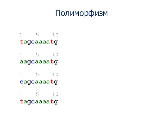 Полиморфизм 1 5 10 tagcaaaatg 1 5 10 aagcaaaatg 1 5 10