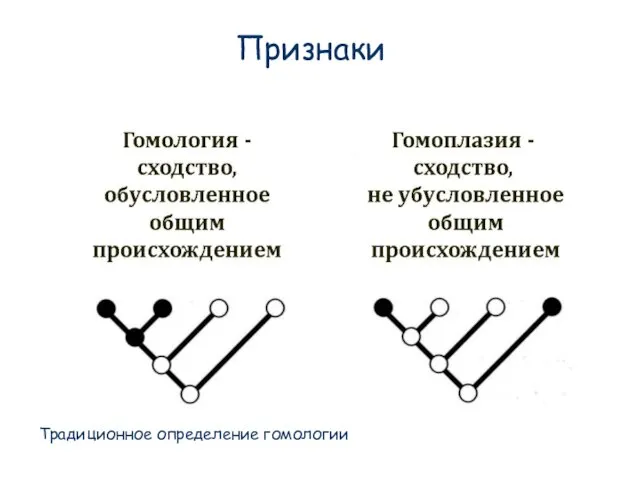 Признаки Традиционное определение гомологии