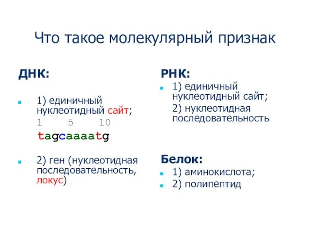 Что такое молекулярный признак ДНК: 1) единичный нуклеотидный сайт; 1 5 10