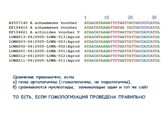 1 10 20 30 Сравнение правомочно, если а) гены ортологичны (=гомологичны, не