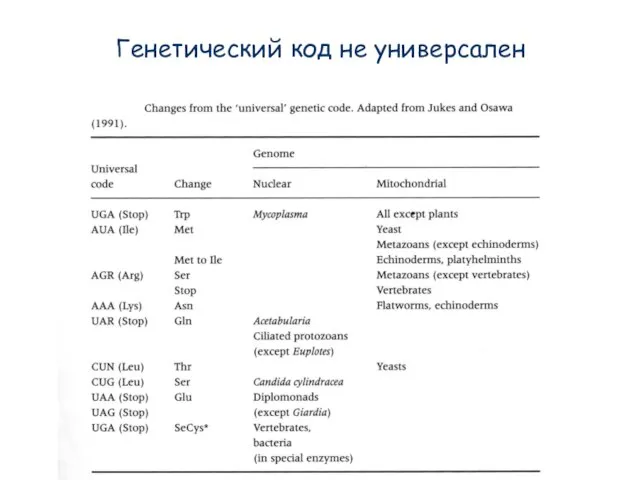 Генетический код не универсален