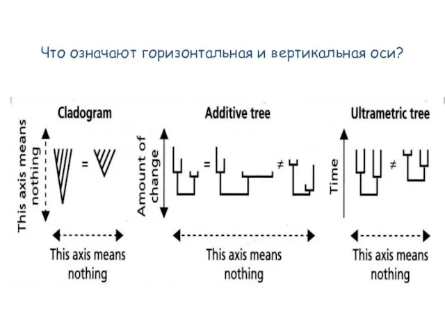 Что означают горизонтальная и вертикальная оси?