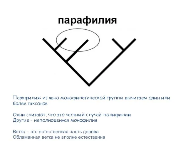 Парафилия: из явно монофилетической группы вычитаем один или более таксонов Одни считают,