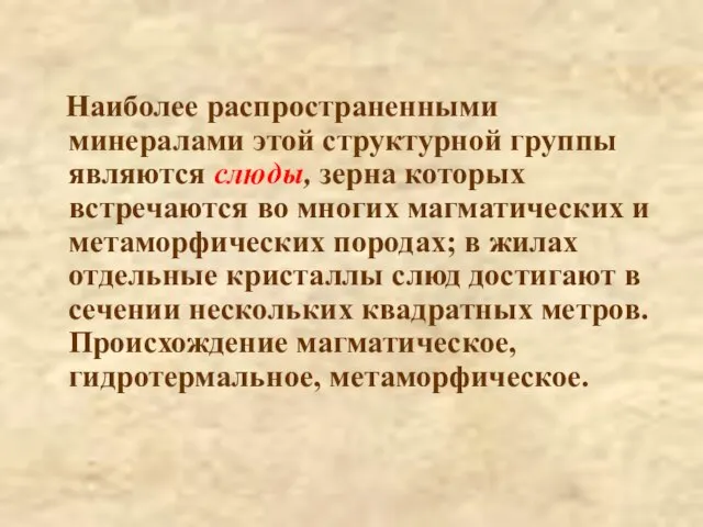 Наиболее распространенными минералами этой структурной группы являются слюды, зерна которых встречаются во