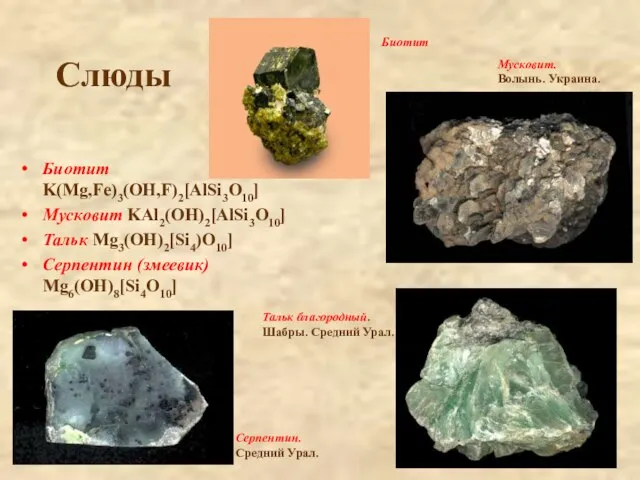 Слюды Биотит K(Mg,Fe)3(OH,F)2[AlSi3O10] Мусковит KAl2(OH)2[AlSi3O10] Тальк Mg3(OH)2[Si4)O10] Серпентин (змеевик) Mg6(OH)8[Si4O10] Биотит Мусковит.