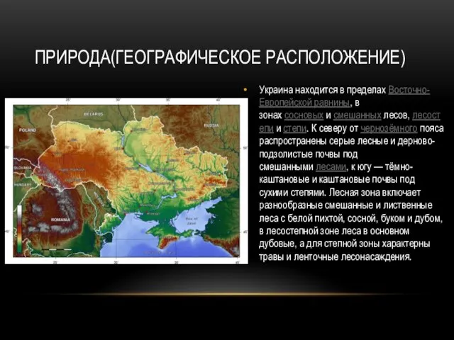 Украина находится в пределах Восточно-Европейской равнины, в зонах сосновых и смешанных лесов,