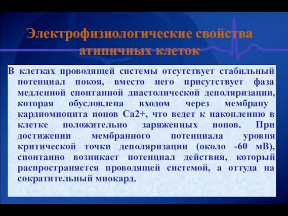 Электрофизиологические свойства атипичных клеток В клетках проводящей системы отсутствует стабильный потенциал покоя,