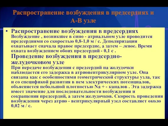 Распространение возбуждения в предсердиях и А-В узле Распространение возбуждения в предсердиях Возбуждение