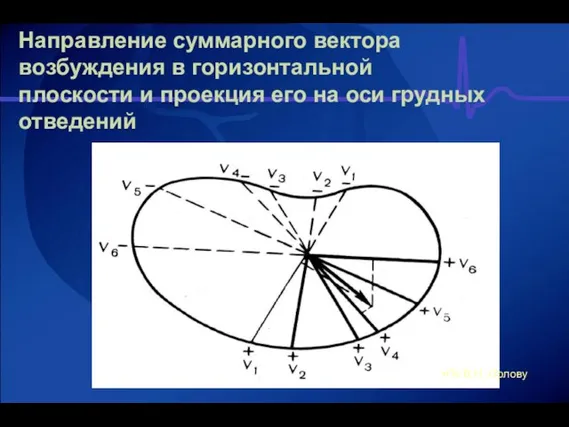 Направление суммарного вектора возбуждения в горизонтальной плоскости и проекция его на оси