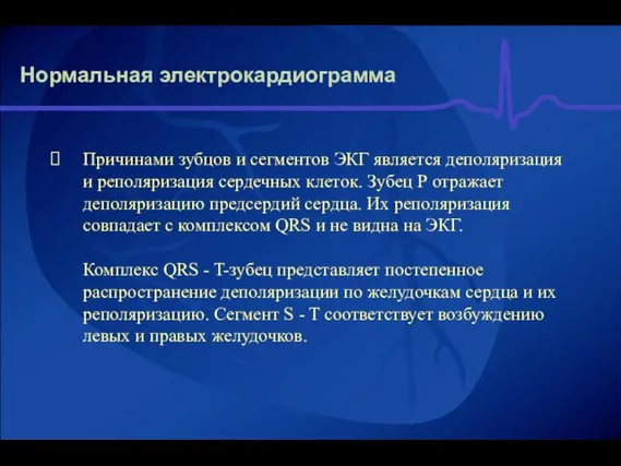 Нормальная электрокардиограмма Причинами зубцов и сегментов ЭКГ является деполяризация и реполяризация сердечных