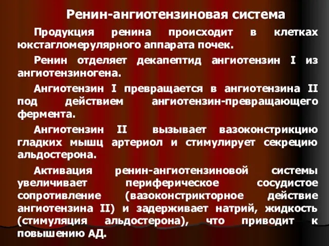 Ренин-ангиотензиновая система Продукция ренина происходит в клетках юкстагломерулярного аппарата почек. Ренин отделяет