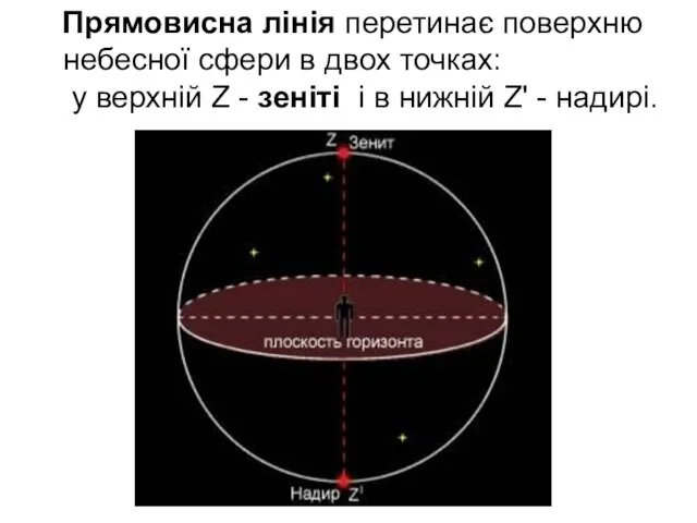 Прямовисна лінія перетинає поверхню небесної сфери в двох точках: у верхній Z