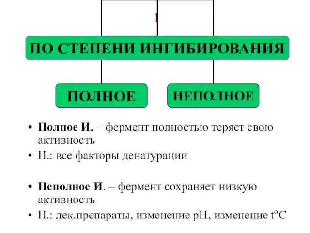 Полное И. – фермент полностью теряет свою активность Н.: все факторы денатурации