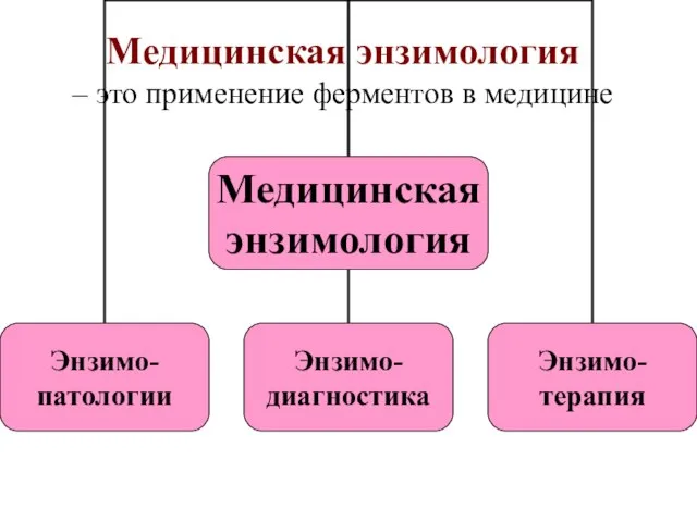 Медицинская энзимология – это применение ферментов в медицине