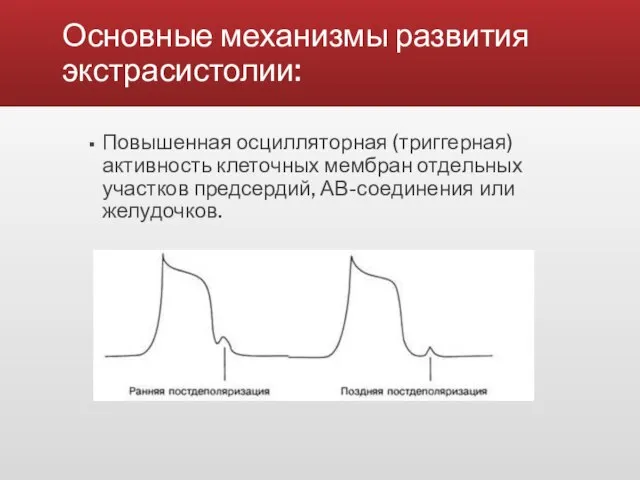 Основные механизмы развития экстрасистолии: Повышенная осцилляторная (триггерная) активность клеточных мембран отдельных участков предсердий, АВ-соединения или желудочков.