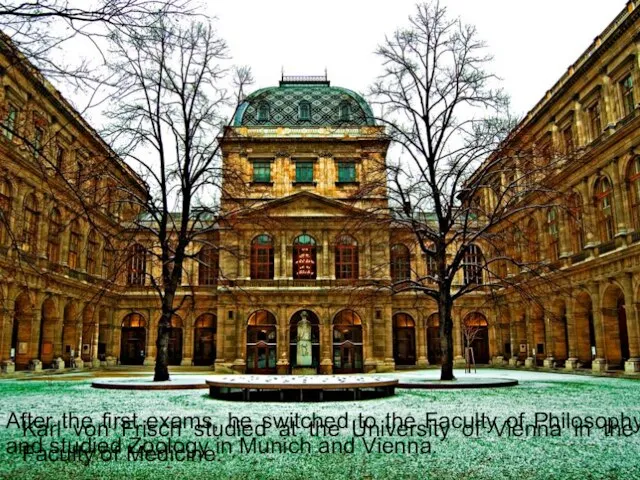 Karl von Frisch studied at the University of Vienna in the Faculty