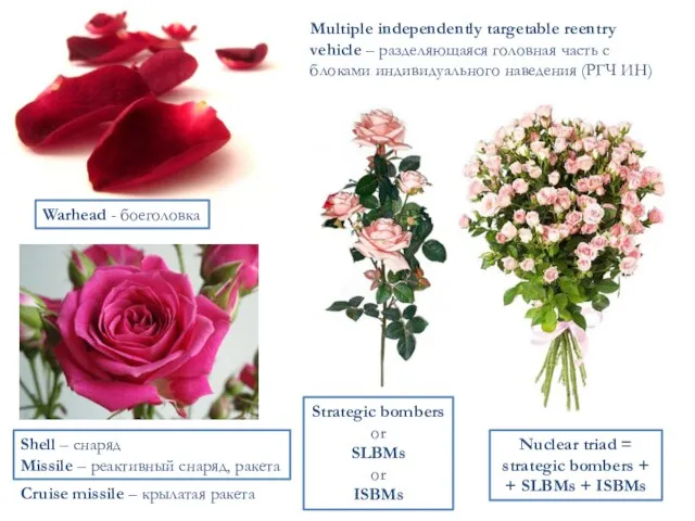 Warhead - боеголовка Multiple independently targetable reentry vehicle – разделяющаяся головная часть