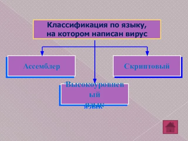 Скриптовый Классификация по языку, на котором написан вирус Ассемблер Высокоуровневый язык